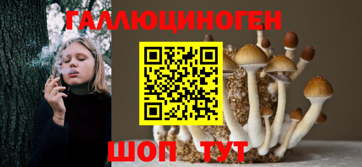 Псилоцибиновые грибы прущие грибы  Галлюциногенные грибы Psilocybe  Тверь  Вход с VPN 