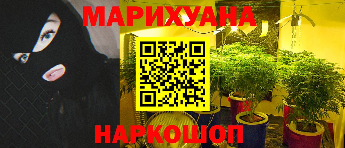Бошки Шишки OG Kush  Бошки Шишки Bruce Banner  Конопля OG Kush  Вход с VPN  Тверь 